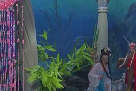 西游记续集龙宫公主扮演者