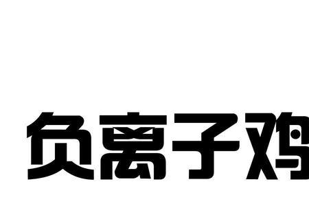 负其他什么意思