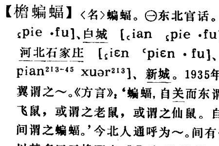 蝙蝠妹是什么意思