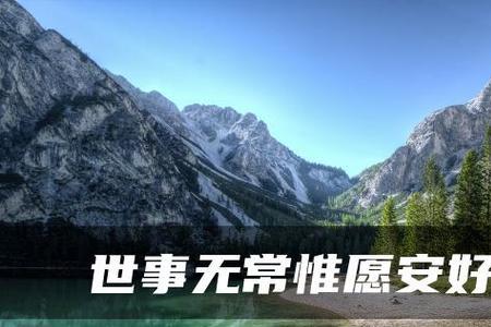 惟愿如此什么意思