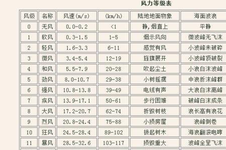 八米每秒的风是几级
