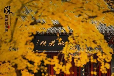 心中无尘什么意思