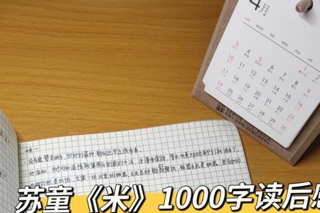苏童米的语言特色