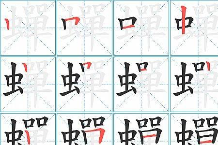 虾的笔画顺序怎么念