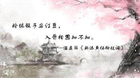 苦苦相思下一句是什么