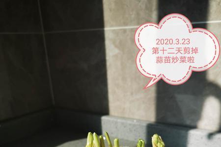 蒜黄割掉一部分能不能继续长