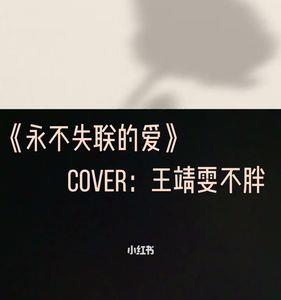 永不失联的爱怎么火的