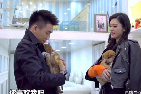 何猷君娶奚梦瑶聘礼