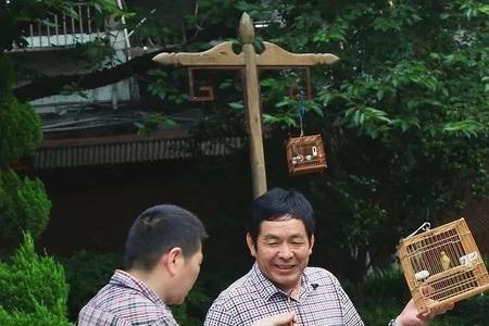 爱养鸟的男人都是啥样的