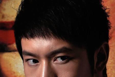 全球公认的中国第一美男