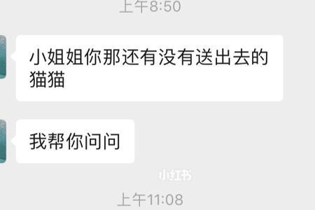 你就是个得儿什么意思