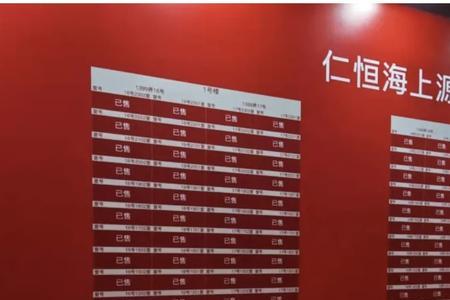 新房过会后几天认筹