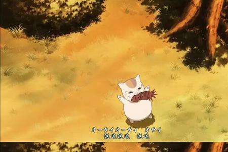 夏目的猫是什么来头
