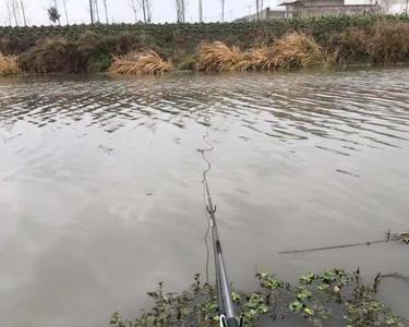 钓鱼50+什么意思