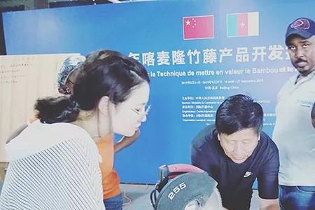 现代竹业属于什么产业