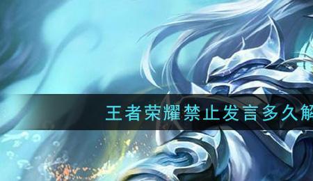 怎么才知道王者被禁言了