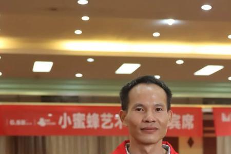 小蜜蜂2号超越版是哪个公司
