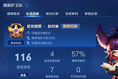王者鹰眼护卫队分几个等级