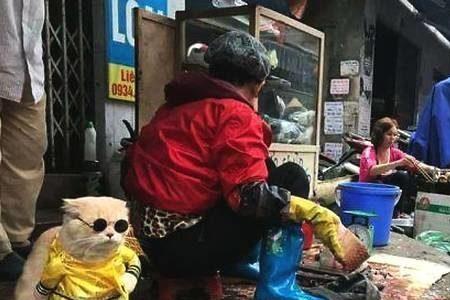 卖鱼有什么好听的叫法