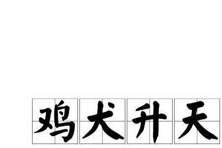 简中人是贬义吗