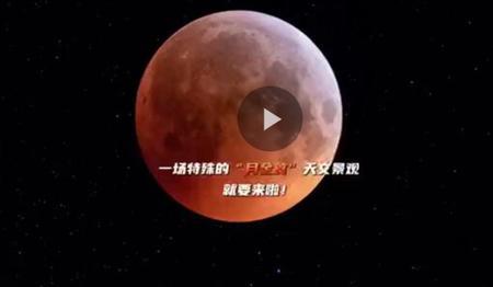 红月亮像什么比喻句