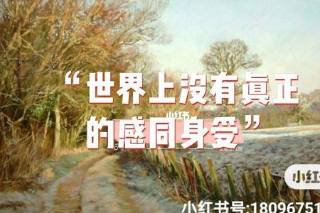 没有人会感同身受怎么回复