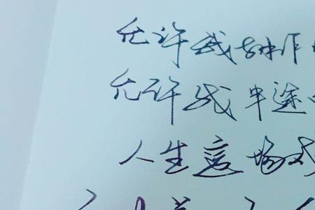 不足以谈人生的上一句是什么