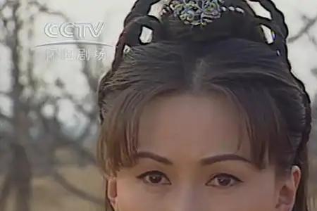 杨家将各个媳妇的背景