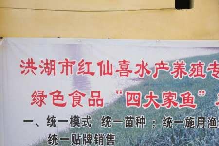 水产广告牌什么颜色最醒目
