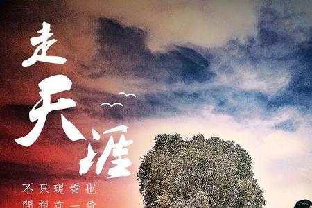 仗剑天涯闲卖珊阙意思