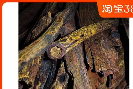 大叶黄金甲和小叶黄金甲的区别