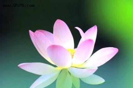 心无挂念什么意思