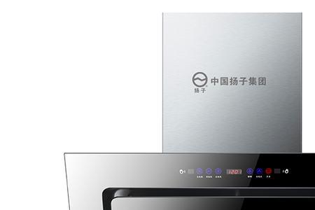 扬子电器现在是贴牌吗