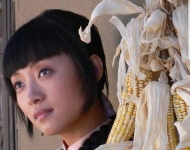 大地情深秀儿的扮演者