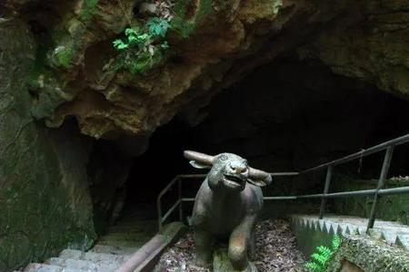 寻龙天师里面风铃住着谁