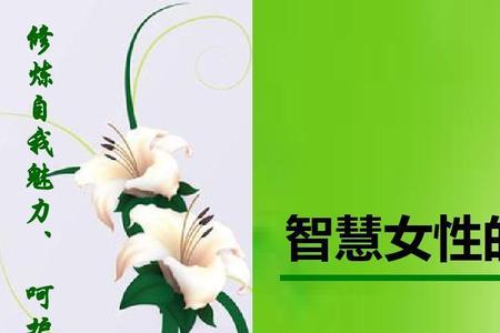 女性成长属于什么领域