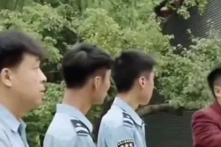 宋晓峰跟陶子结局