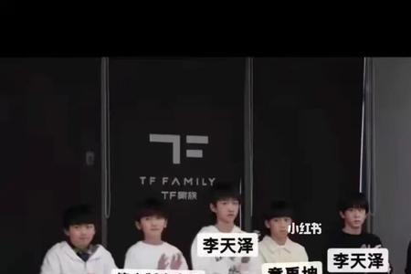 tf家族四代粉丝名