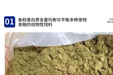 鱼粉发酵做饲料怎么样
