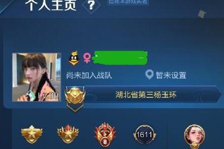 王者荣耀主页旁边小火是什么