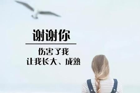 从此不再入情海什么意思