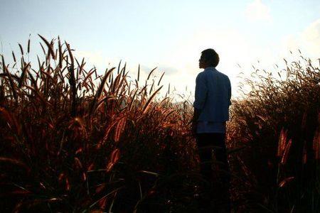 麦田守望者是什么意思