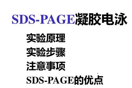 sds-page和page的异同点