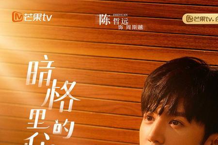 暗格里的秘密在爱奇艺能看吗