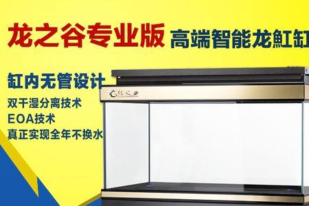 1.8米龙鱼缸一年的费用