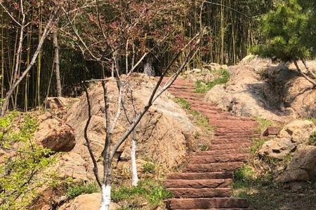 上山和进山的区别