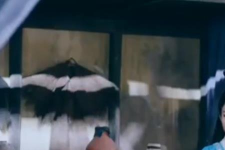 碧瑶的爹