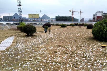 冰雹发出的是什么声音