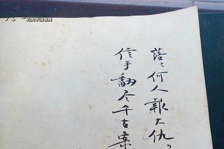 李敖的红玫瑰里写的是谁