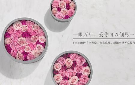 何其幸运得以相遇下一句